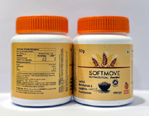  pharma franchise pcd in gujarat hamswell lifecare -	other powder.jpeg	